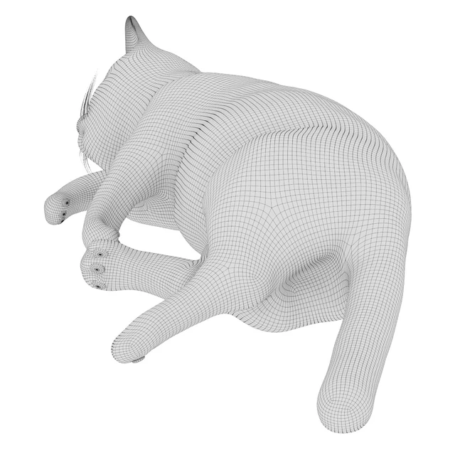 Cat — Download
