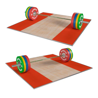 Rogue Operator Bar 3.0 vs plates — View 1