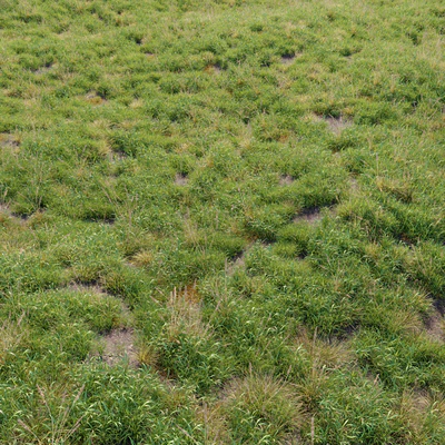 Meadow 09 — Вид 5
