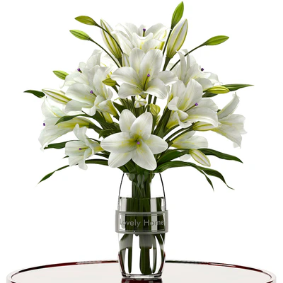 LILY — Descargar