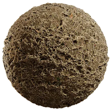 grass dried 010 — Скачать