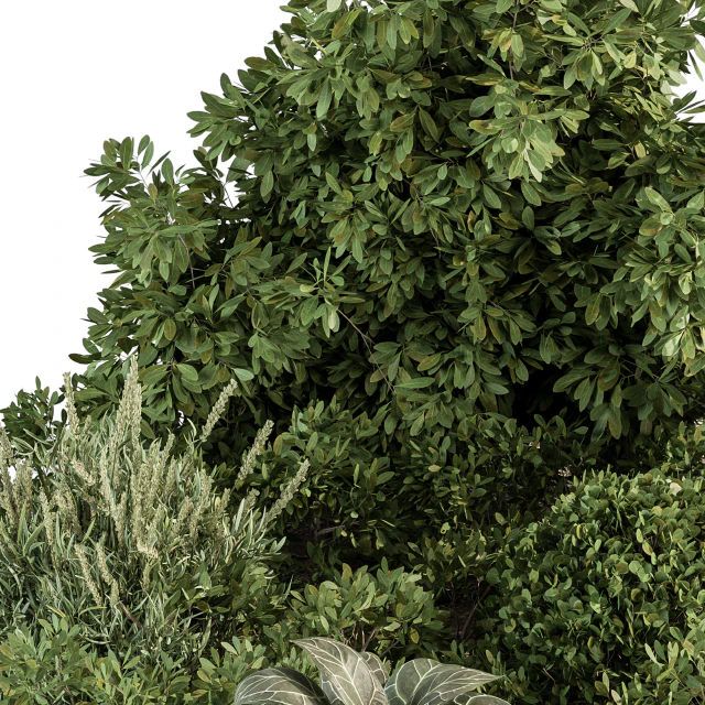Garden set ivy and Bush - Garden Set 20 — Descargar