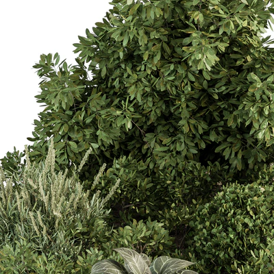 Garden set ivy and Bush - Garden Set 20 — Ver 5