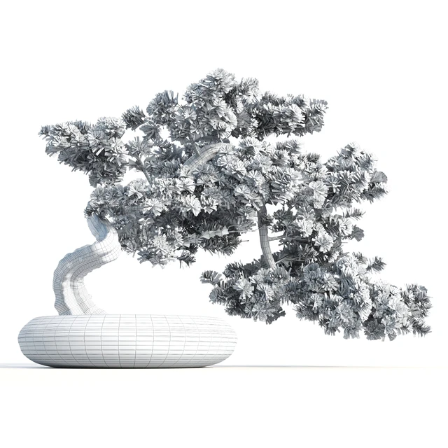 bonsai04 — Descargar