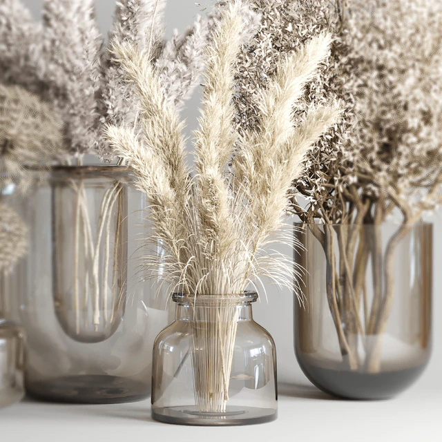 Dry Bouquet Collection 05 - Dried autumn plants and flowers — Descargar