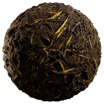 dried leaves 014 — Descargar