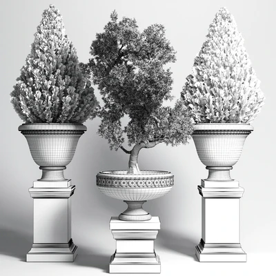 Collection Outdoor plant 44- tree thuja bonsai concrete old classic vase — Вид 5