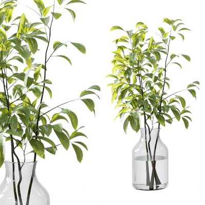 Collection Green Plants Bouquet Indoor 12 — Ver 7