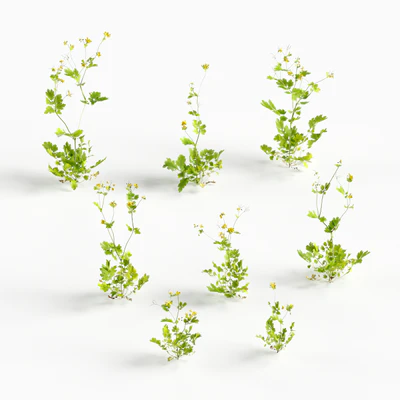 flowers and weeds 016 — Descargar