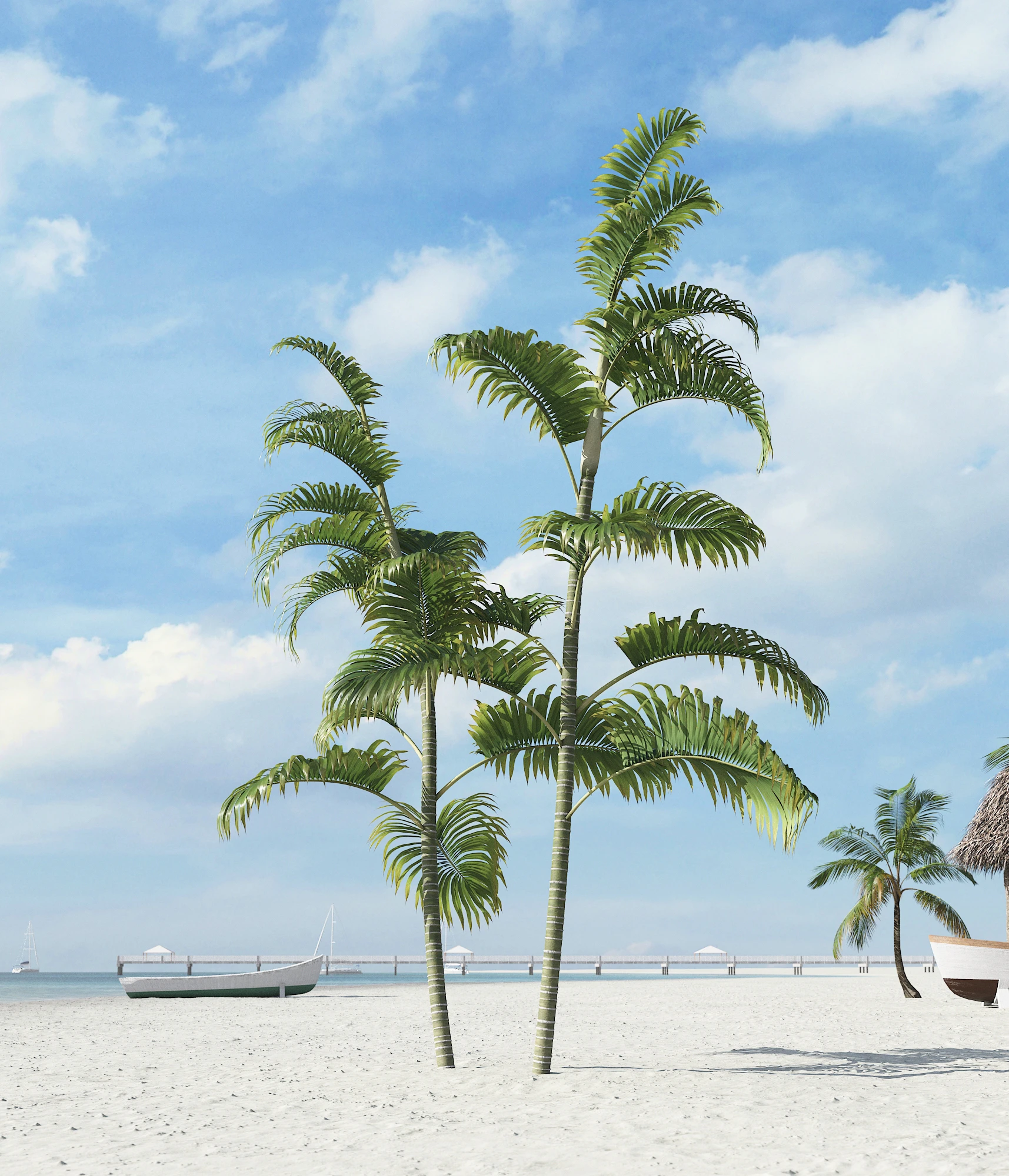 palm trees 031 — Descargar