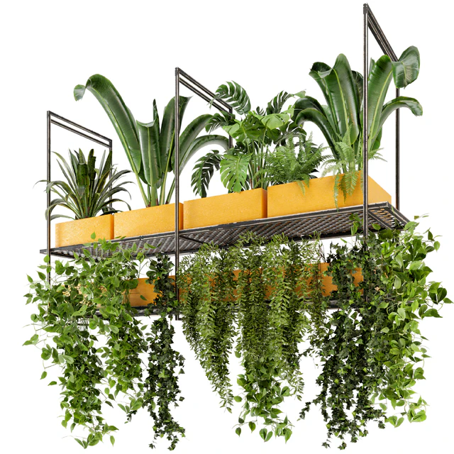 Indoor Hanging Plants in Metal Box - Set 78 — Descargar