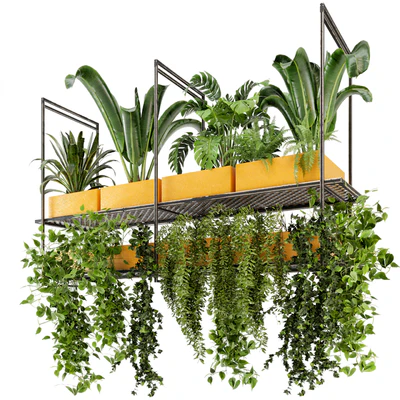 Indoor Hanging Plants in Metal Box - Set 78 — Ver 1