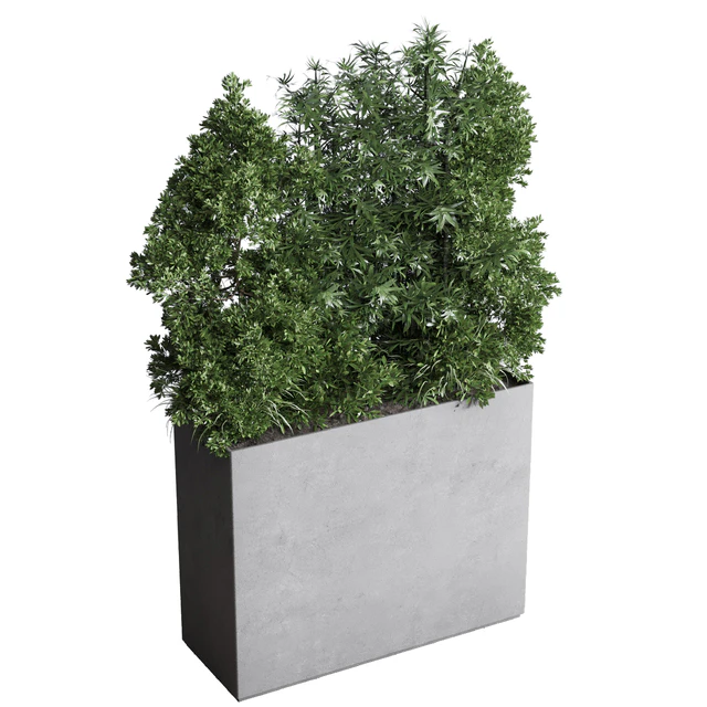 Collection indoor plant 251 ficus lyrata monstera palm in a wooden and metal pot — Descargar