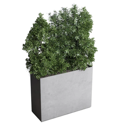 Collection indoor plant 251 ficus lyrata monstera palm in a wooden and metal pot — Ver 5