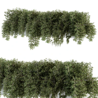 ivy plants in box - Outdoor Set 80 — View 5