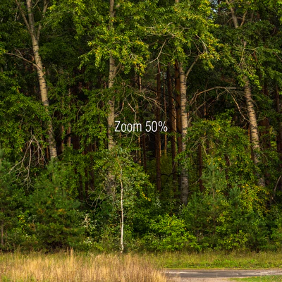 Панорамы с тополями — Вид 5