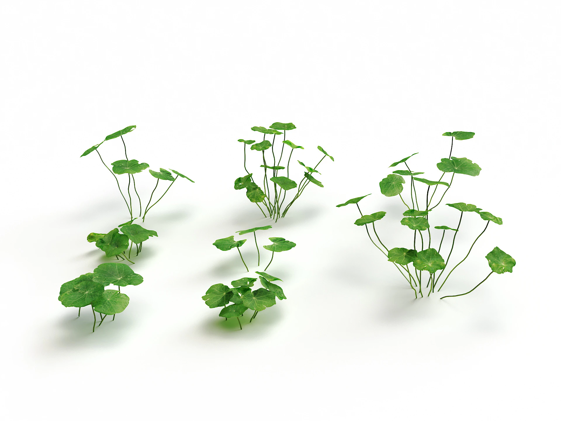 clover set — Скачать