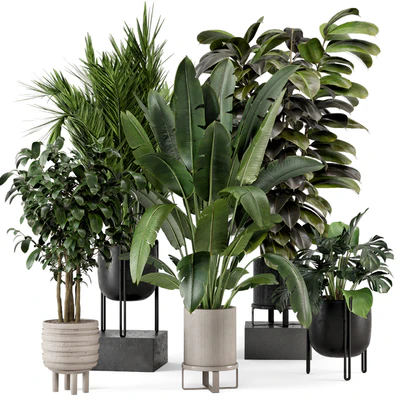Indoor Plants in Ferm Living Bau Pot Large - Set 879 — Ver 1