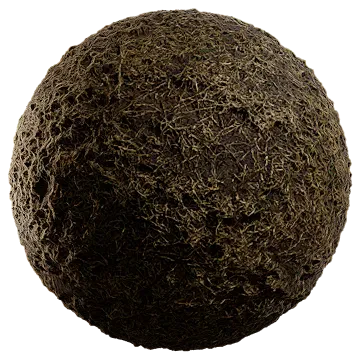 dried grass on damp soil 016 — Download