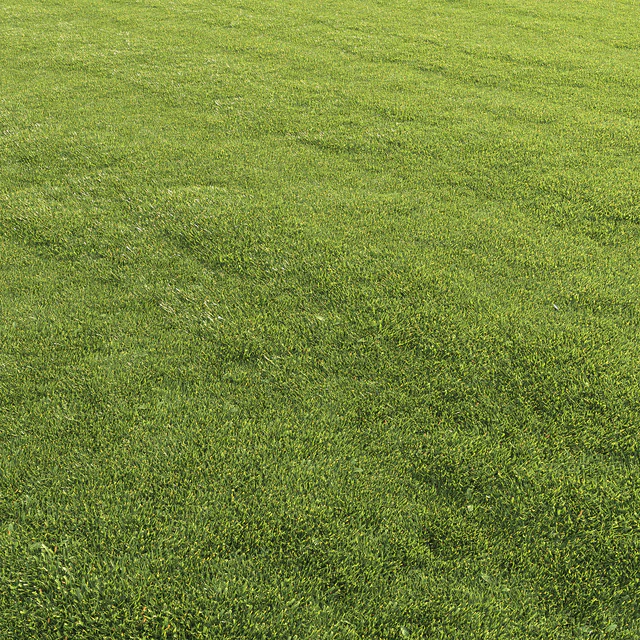 Lawn grass — Descargar