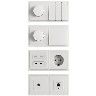 Sockets and switches / Lezard Rain. — Ver 5