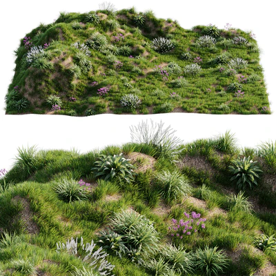 Grass on the slope — Вид 1