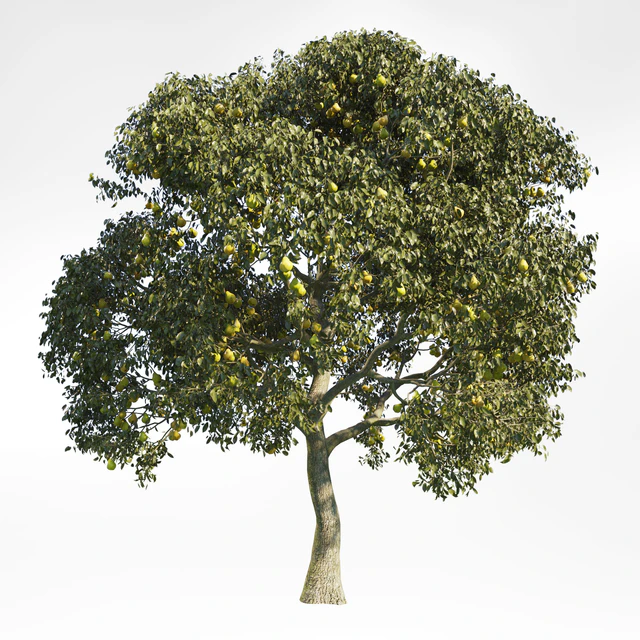 Pear Tree 8 — Скачать