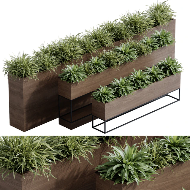 indoor plant set 65 — Descargar