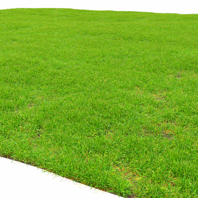 Grass lawn — Descargar