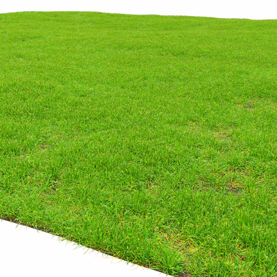 Grass lawn — Ver 7