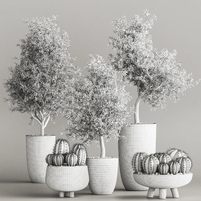 cactus & plant vol 03 — Descargar