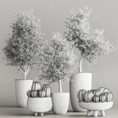 cactus & plant vol 03 — Ver 5