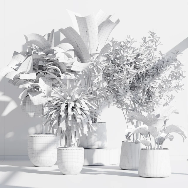 indoor plant set 66 — Скачать