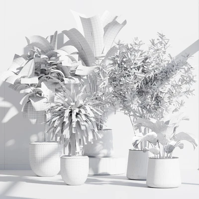 indoor plant set 66 — Вид 6