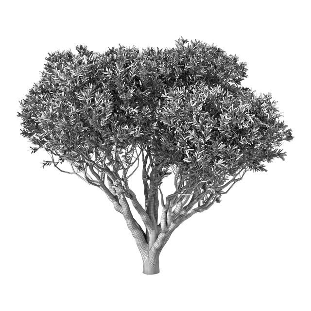 Tree No.89 — Descargar