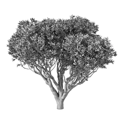 Tree No.89 — Ver 3