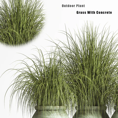 Outdoor Plant set 01 — Вид 7