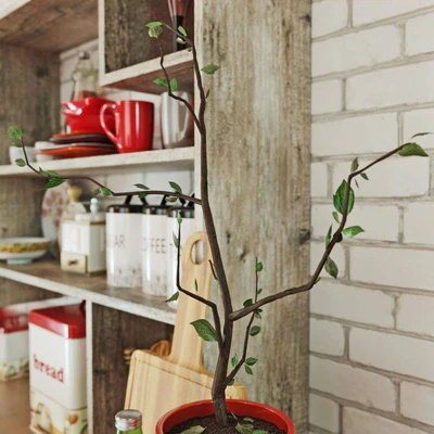 Kitchen set decor — Вид 3