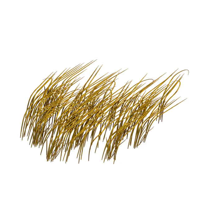 Трава в воде. Водоросли. Цицания водная. Водяная трава. — Скачать