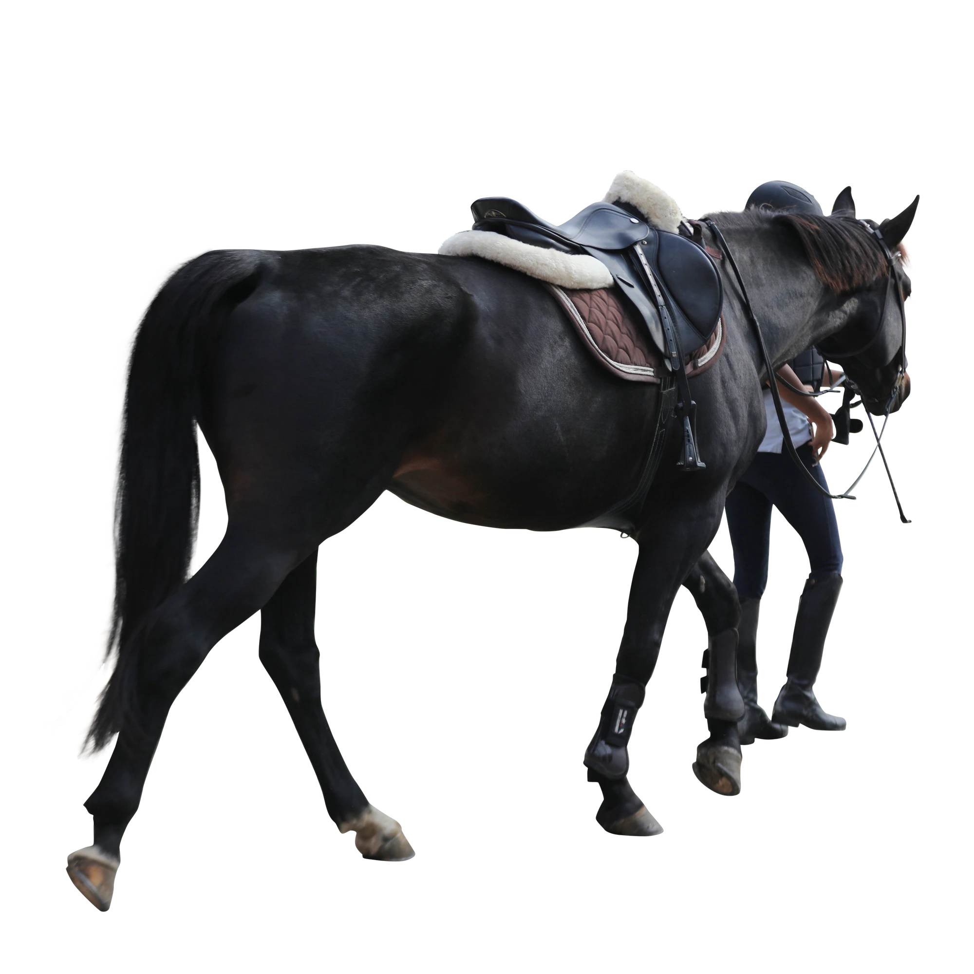 031 — Скачать