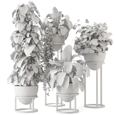 Indoor Plants in rusty Concrete Pot on Metal Shelf - Set 964 — Ver 5