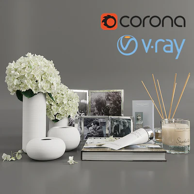 Decorative set with hydrangea — Ver 1