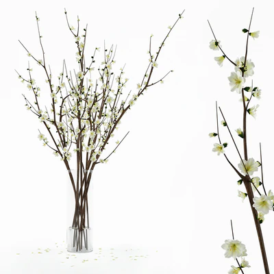 Branches in a vase — Ver 1