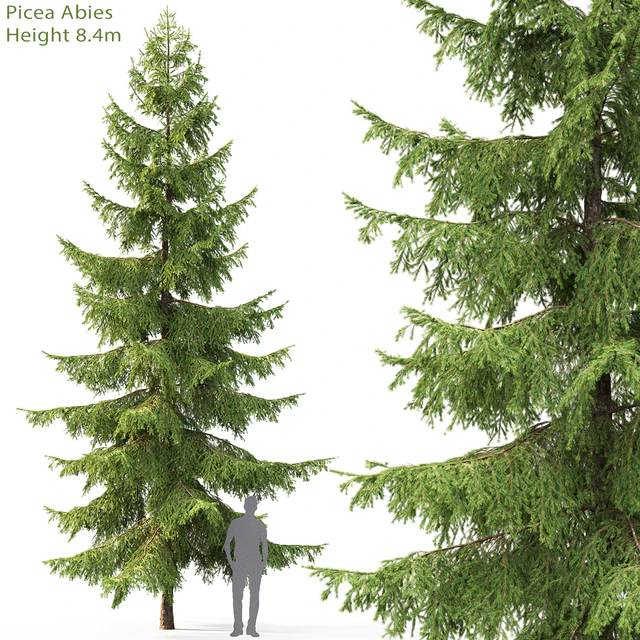 Spruce — Скачать