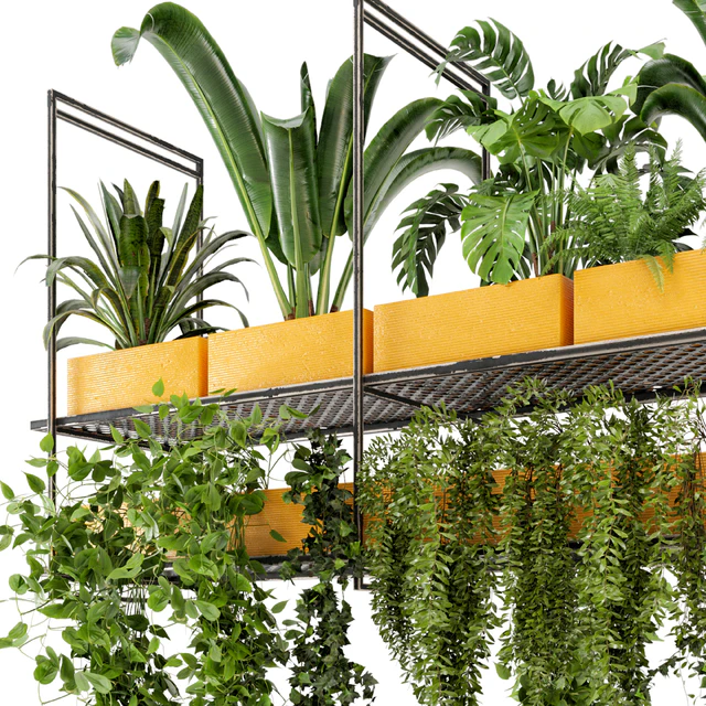 Indoor Hanging Plants in Metal Box - Set 78 — Descargar