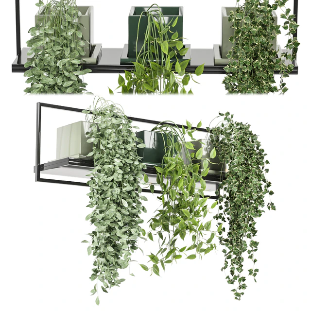 indoor plants in rusty concrete pot on metal shelf - Set 107 — Скачать