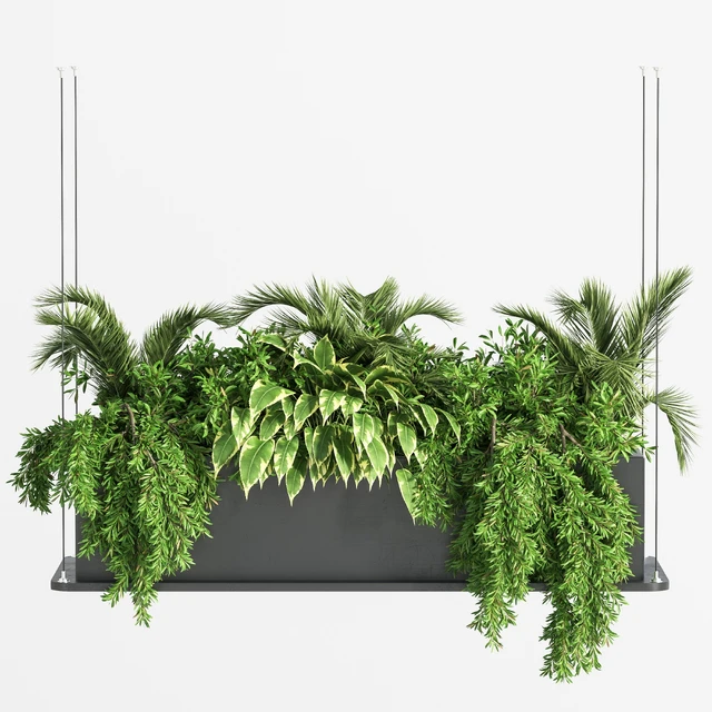 Indoor Plant Set 32  (Hanging Plants) — Descargar