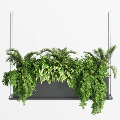 Indoor Plant Set 32  (Hanging Plants) — Ver 1