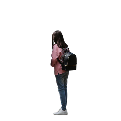 249 — Descargar