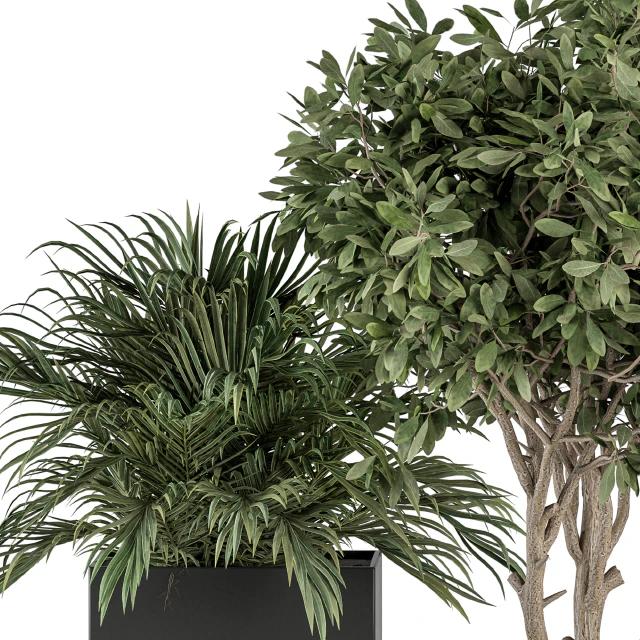 indoor Plant Set 327 - Plant Set in Black Box — Descargar